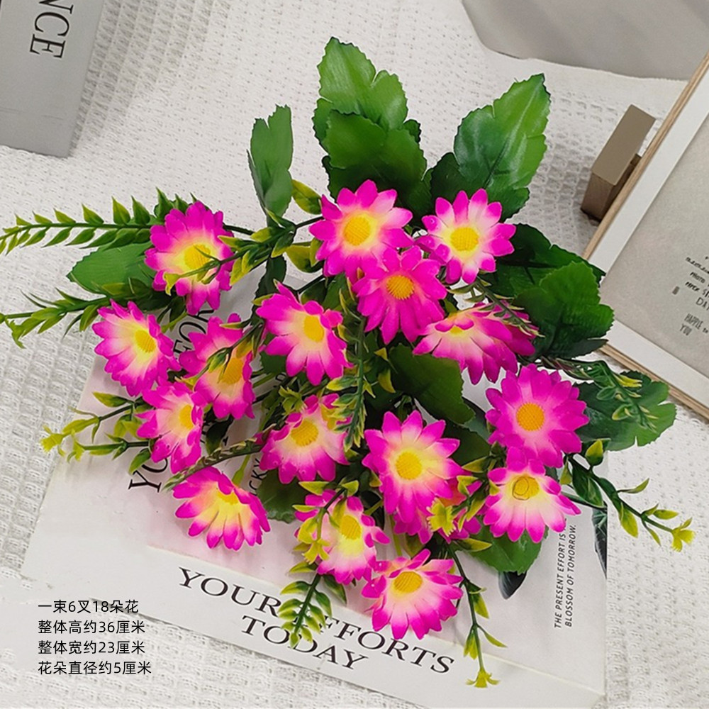 큰 데이지 밝은 핑크