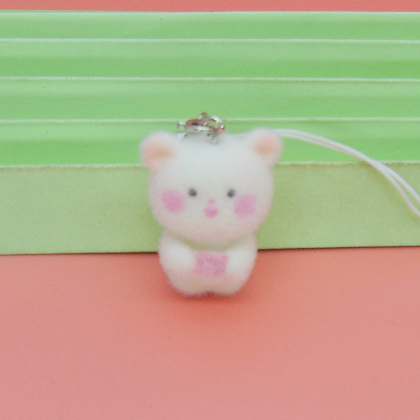 카메라 곰
