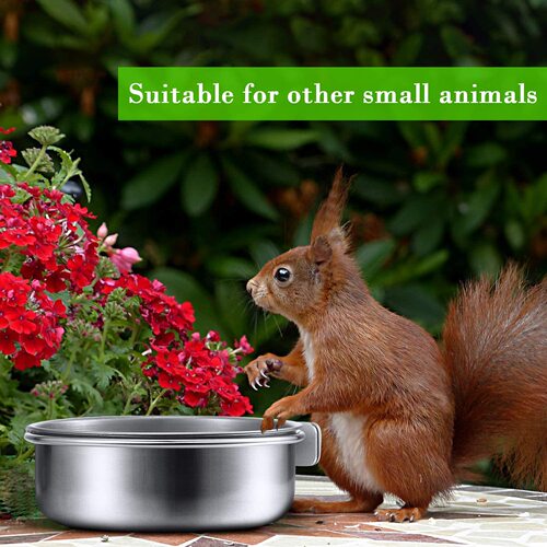 Parrot Stainless Steel Feeding Bowl, Food Tray, Food Plate, Water Bowl, Food Cup, Water Cup Feeder, Bird-Specific, Thickened Model