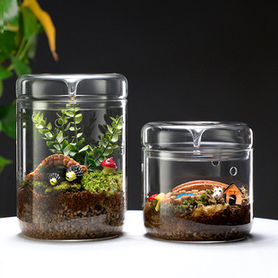 Luji Cup Micro Landscape Glass Cover Ecological Bryophytes Desktop Mini Ornaments Potted Bottle Free to Play Imagination