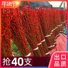 �y���滨�r֦������Ͱϲ�c�������������҃ȼtɫ�ɻ�ˮ��ֲ��ѩ��