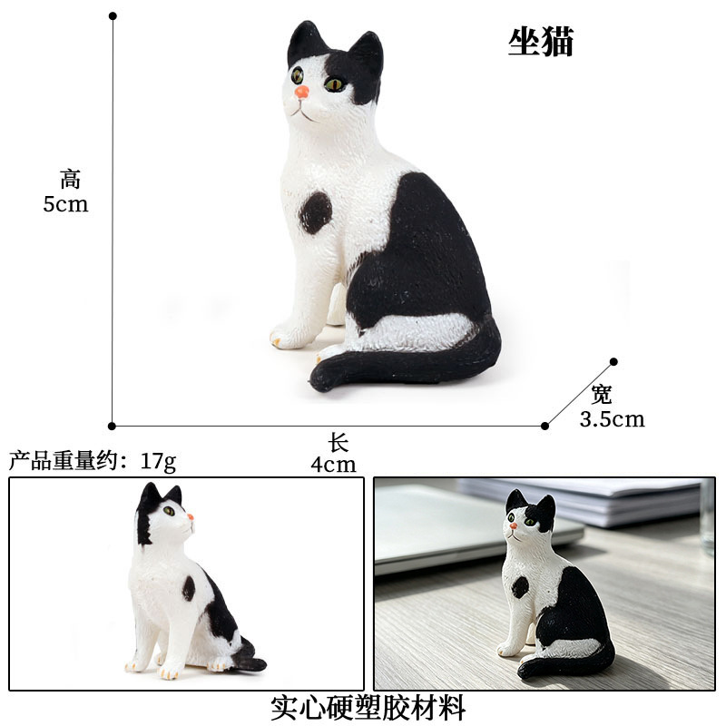 M4095 gato sentado