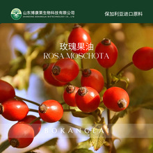 ���������M���ЙCõ�����ԭ��