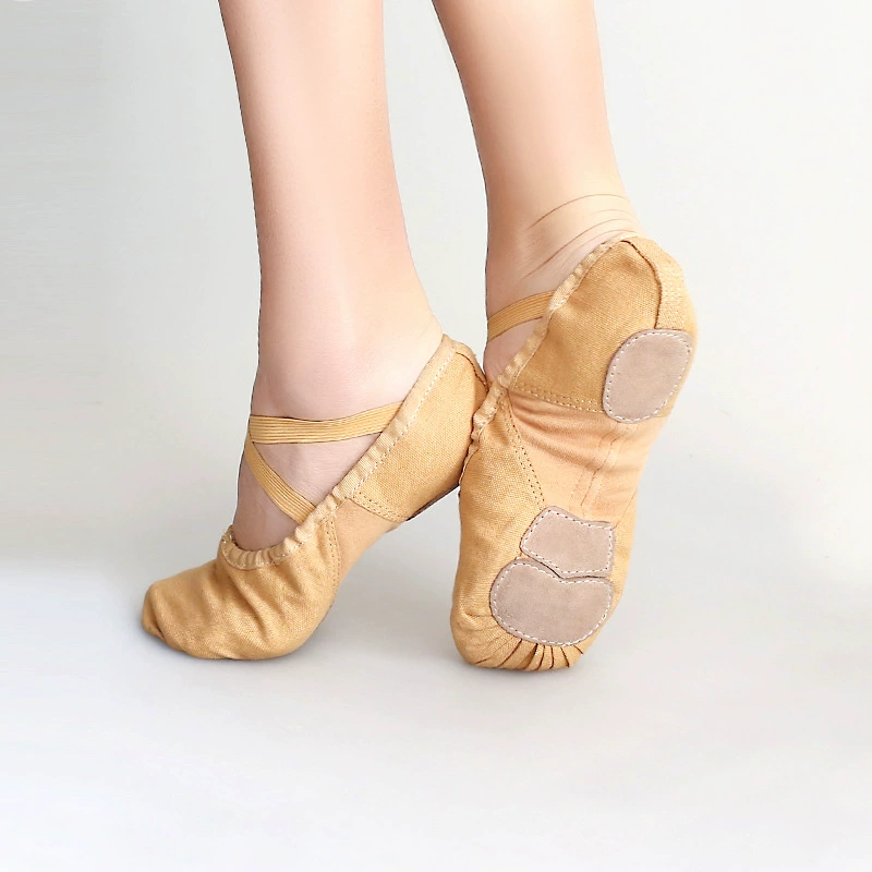 Танцевальная песня для взрослых, обувь с кошачьими когтями, танцевальная обувь из эластичной ткани, парусиновая женская обувь для тренировок на мягкой подошве, балетная обувь для йоги