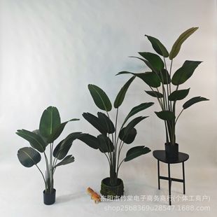 B˽پGֲ҃ȴb[Gֲl˽٘