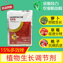 _ 15%ЧЧ찫ֲСľܿL{