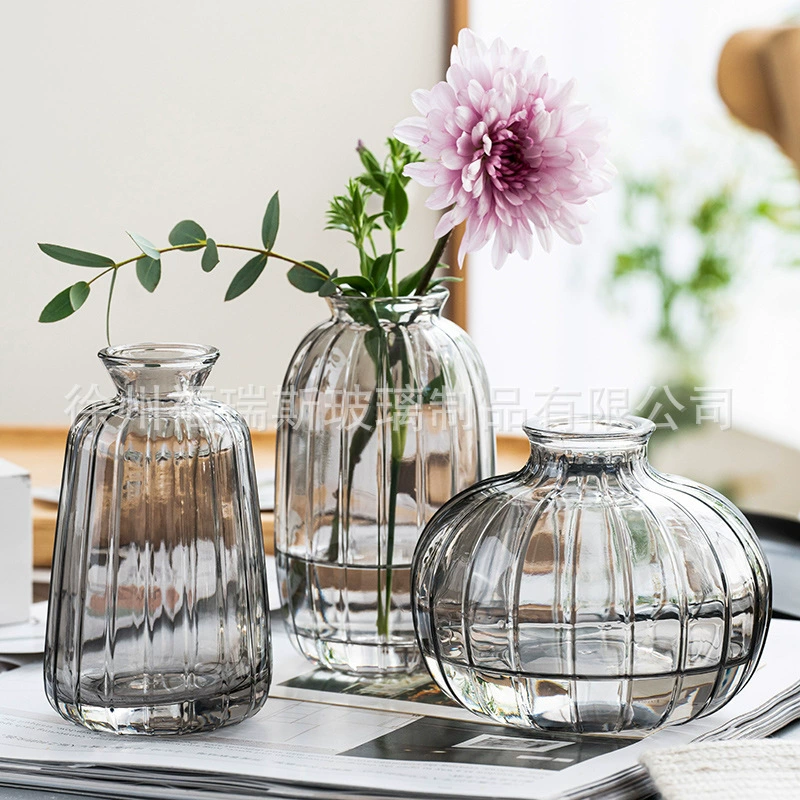 [Симпатичный мастер] Маленькая ваза из прозрачного стекла с вертикальной полосой Японский свет Роскошный Настольный декоративный цветок Гидропонная ваза