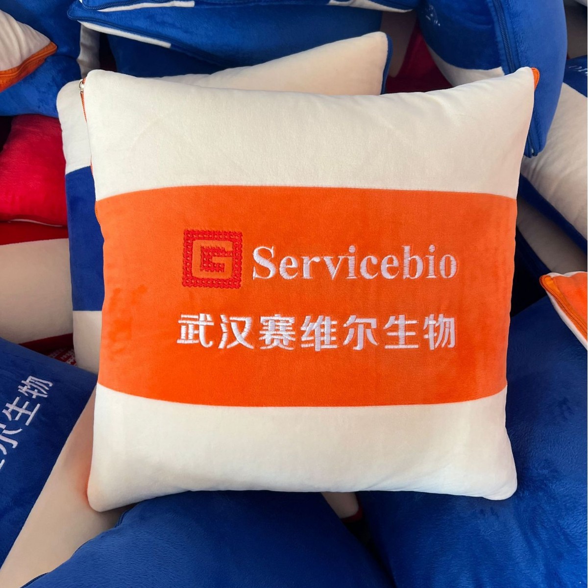 2024-11-10 17:47:34.jpg