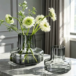装饰花瓶;水培植物瓶;果盘、果篮