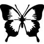 butterfly外贸镭射反光车贴
