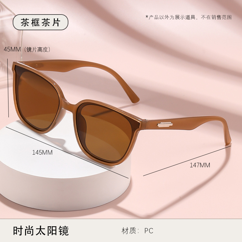 Gafas de Sol Cuadradas Clásicas de PC para Conducción y Viajes