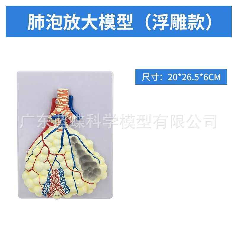 ��Ȼ��������ķ�ģ�ͺ�����״�ٷ��������ϵͳ�β�������ʽ�ѧ