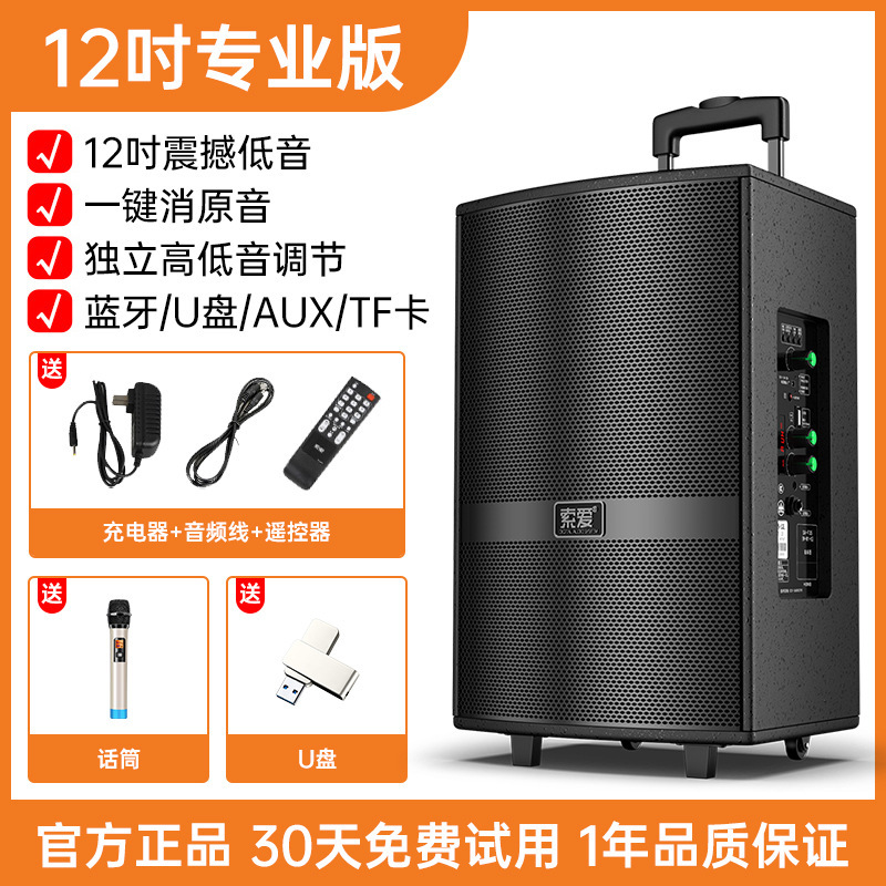 Soei F36 Square Dance Audio Show Outdoor K Dance 15 pulgadas barra móvil altavoz Bluetooth con micrófono