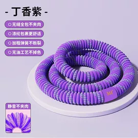 呼拉圈;其他健身器材;健腹器