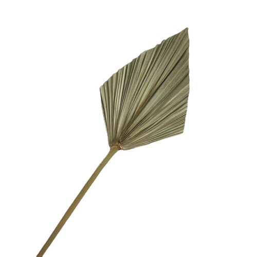Mini fan leaf vase flower arrangement green plant palm leaf dried flower landscape bouquet matching suitable natural plant sunflower leaf