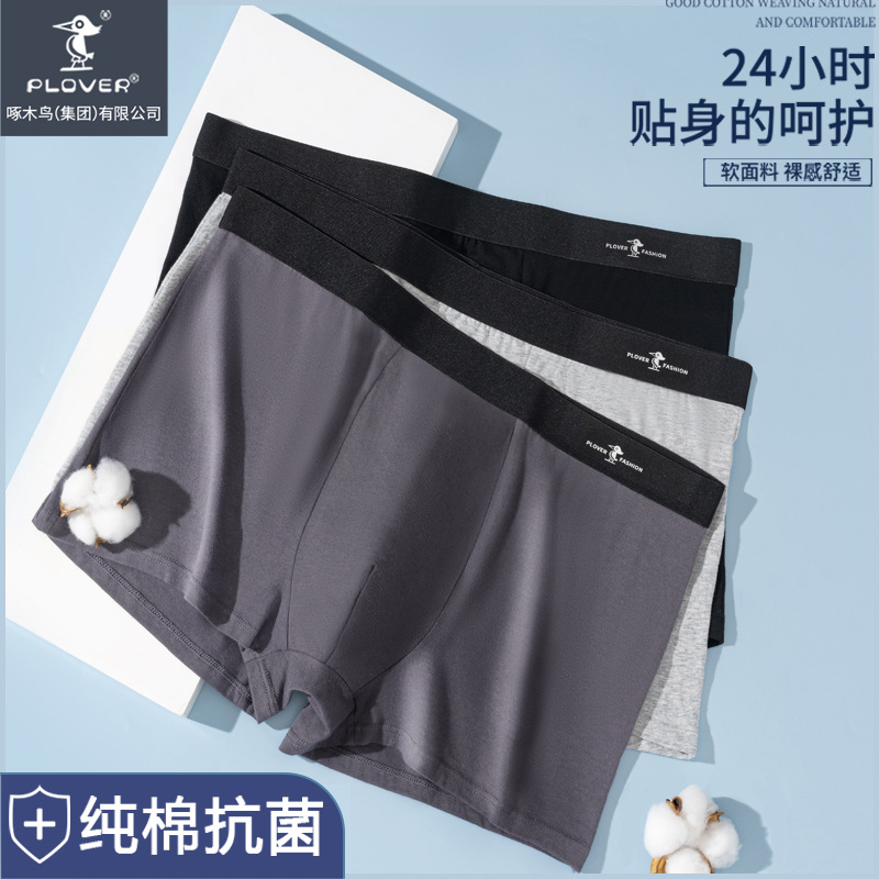 PLOVER men's underwear summer cotton graphene antibacterial teenagers four boxer shorts head Zhongshan wholesale pants