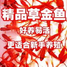 �^�p�~ ���~�� �B�������~С�~���~С������B�ͻ��B������С���~
