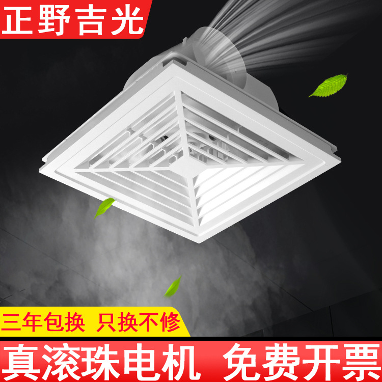 Fan