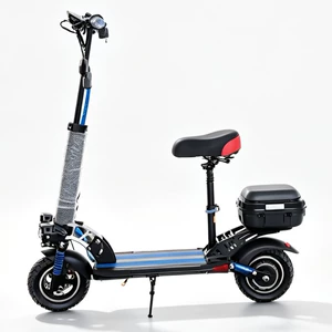 Double Seat 10inch Off-Road Tire Electric Vehicle Electric Vehicle Lithium Battery Folding Electric Bicycle Electric Scooter