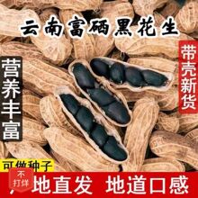 云南特产富硒黑皮花生5斤 黑花生纯黑生吃去壳高品质新货可做种子