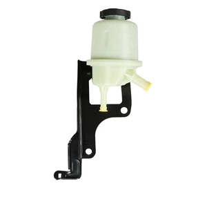 NISSAN Armada Pathfinder Titan üçün sükan gücləndirici nasos yağı çəni 491807S000