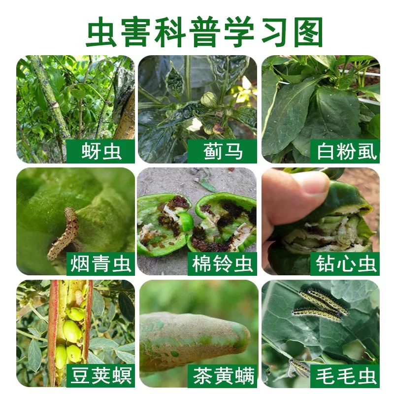 商品图