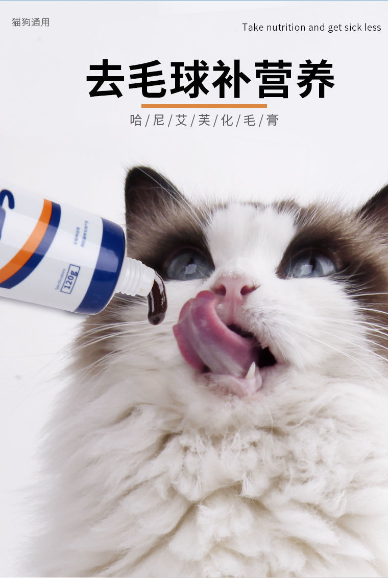 75d85c90-5e07-45a1-8323-9802d705e0f3.jpe