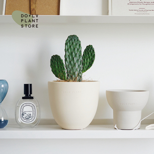 Dolv Bean Green Bring in Wealth and Treasure Little Hand Cactus Black Hat Fan Shape Cute Desktop Plant Potted Plant
