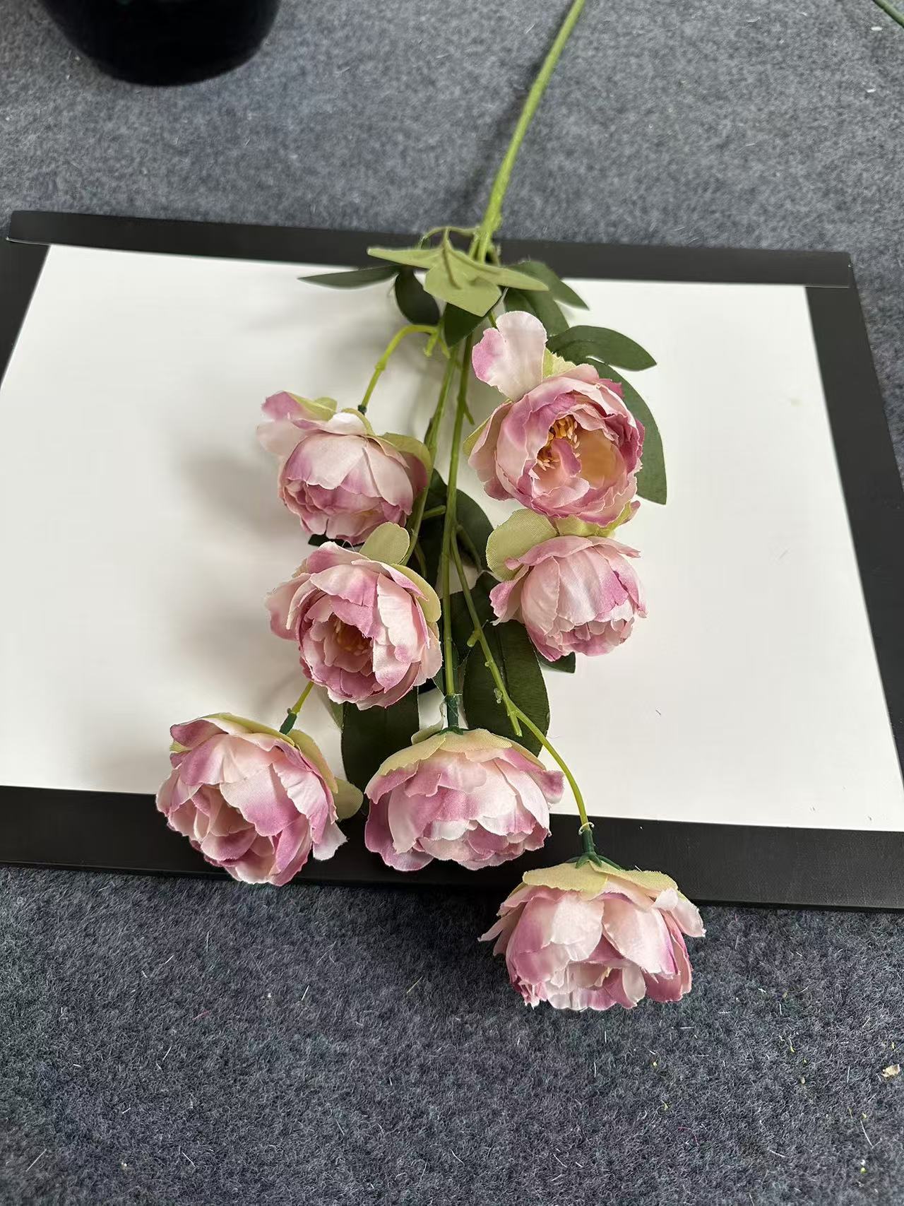 玲珑牡丹雾霾紫