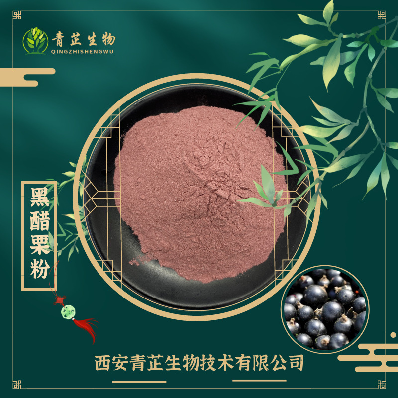 Food Grade Black Currant Powder 99% Black Currant Fruit Powder Water Soluble Good Spot Supply Stable Quality Green Zhi Biology