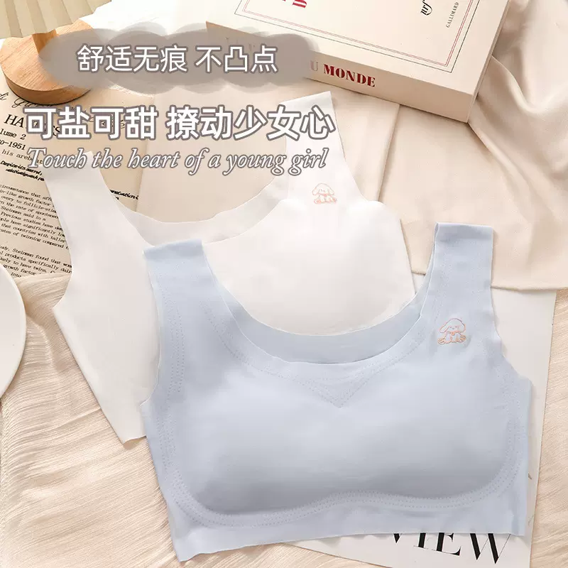 夏季冰丝爆款薄文胸舒适透气无钢圈大胸显小聚拢无痕女小胸内衣