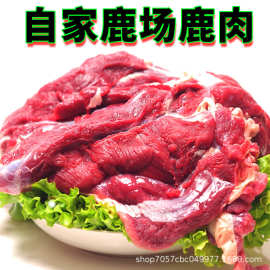 鲜鹿肉 东北吉林鹿乡批发梅花鹿鲜鹿肉鹿腿鹿排过年送礼鹿肉礼盒