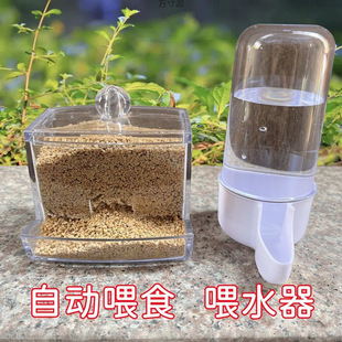 Rutin Chicken Quail Pigeon Bird Feeder Small Chicks Water Kettle Automatic Drinking Water Bottle Drinking Water Wholesale