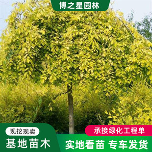 ���~�������A�ܘ���e��ͥԺ�ͺ��L���G��������S���������ܴ���