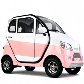 其他电动车;电动三轮车;电动代步车