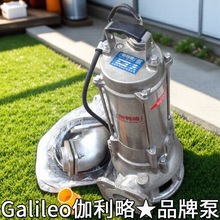 潜潜水电水排污热排水热潜水污水潜污全自动热水泵机