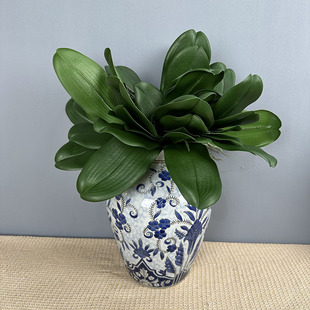 ����ʽ�Ҿ��b����ָк����m�~ �Ӱ巿�廨����ٻ��Gɫ�~��