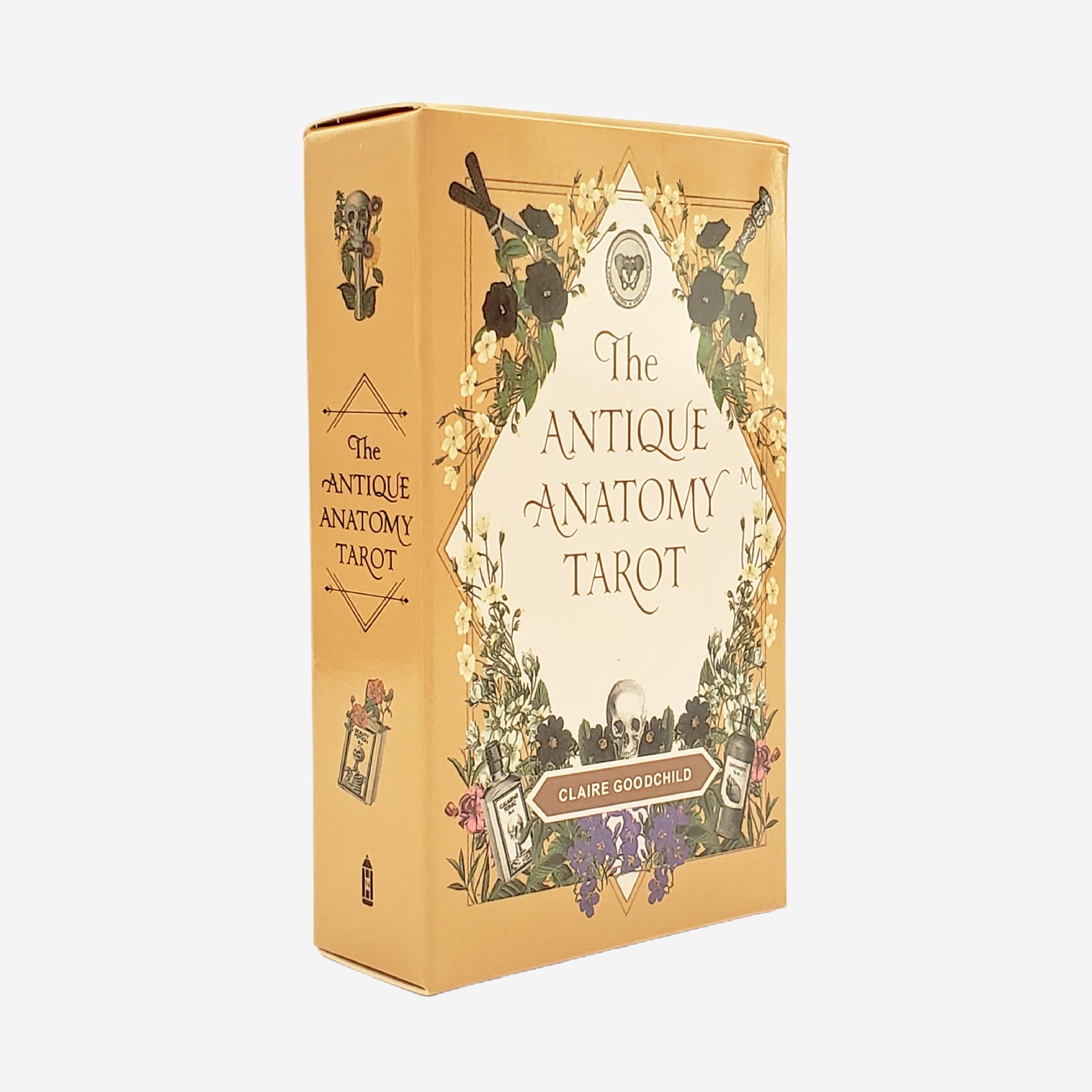 The Antique Anatomy Tarot Deck - Classic Divination Party Game_voghion.com