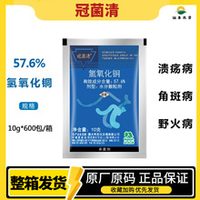 �ھ��� 57.6%�������~ �S�Ͻǰ߲����� Ұ�𲡼����������rș