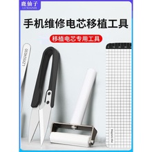 ֙CSоֲմӼL݆^mO늳