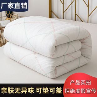 Xinjiang Cotton Quilt Student Dormitory Spring, Autumn and Winter Plus Velvet Thickened Quilt Mattress Quilt Pad Quilt Supermarket Wholesale
