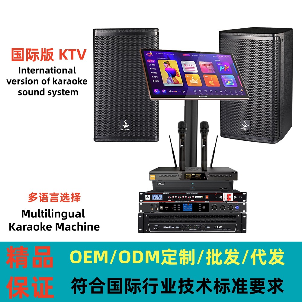 Sistema de audio para karaoke, conjunto completo, versión internacional, equipo de audio profesional para KTV, equipo de audio para bar y hogar.