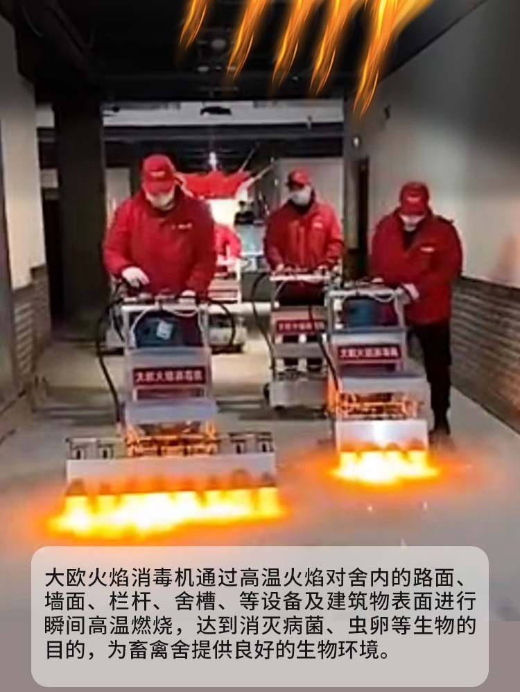 170585a17fafc2ab3d8adecda408a6