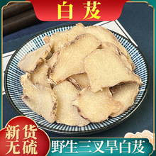 ��ܸ��ș����Ʒ�F��Ұ���o����ș��ܸ�����溵��ܸ����Bθ�׼�