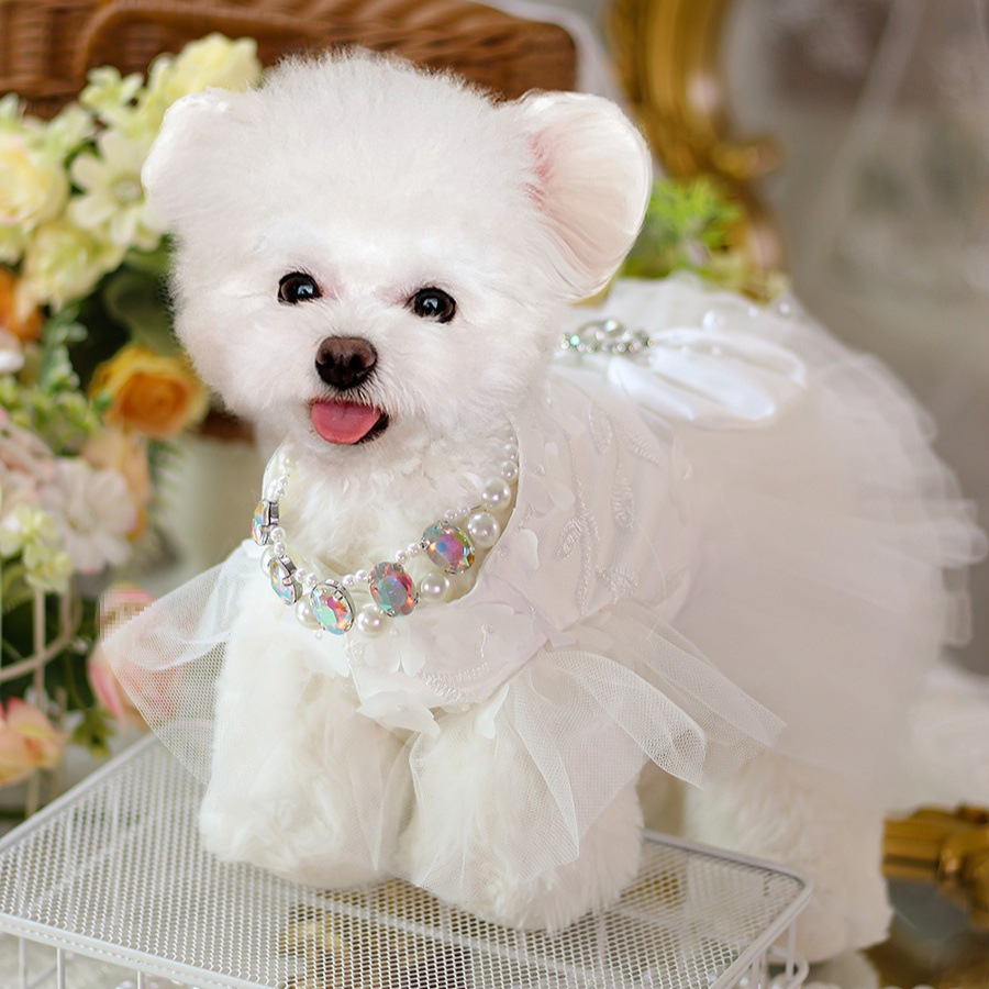 강아지 DOWRY 원피스 봄과 가을 여름 얇은 애완 동물 웨딩 원피스 고양이 공주 원피스 웨딩 원피스