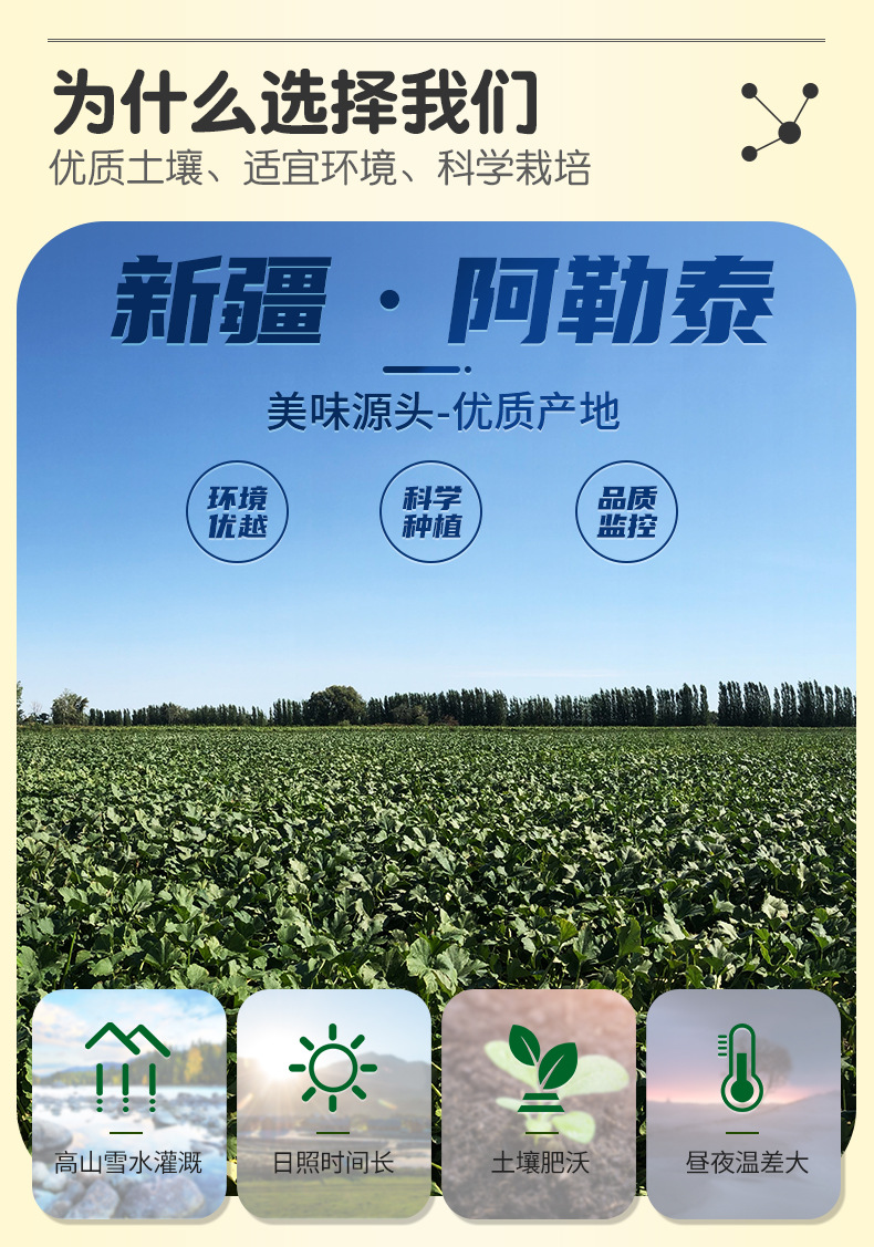 阿里大货版新详情_04