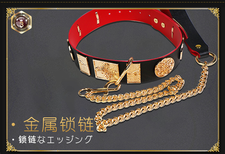 Jiuai SM Collar with Flying Fish Chain Set, Metal and Leather Bondage Kit for Couples — detail image 26