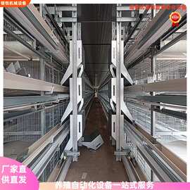厂家批发层叠式全自动化捡蛋清粪/养鸡设备  小层叠蛋鸡笼养殖