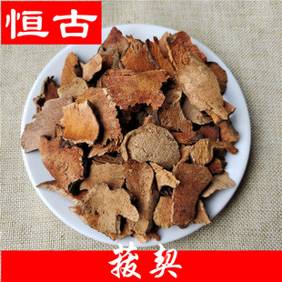 ��ș�����l���� ������ ������ ����