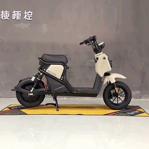Avropaya İxrac, Uzaq Məsafəli Elektrikli Skuter, Yüksək Sürətli Elektrikli Motosiklet